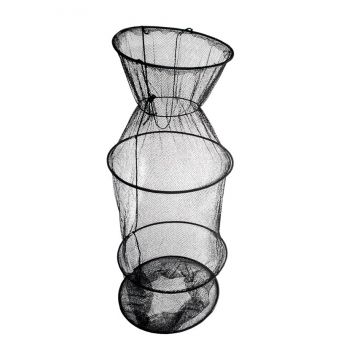 ENERGO FISH 6 RINGED...