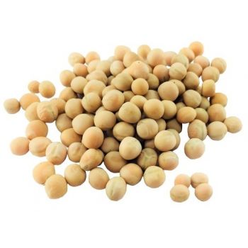 STARFISH ZIARNA ZANĘTOWE...