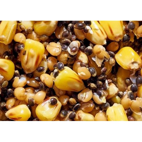 STARFISH ZIARNA ZANĘTOWE MIX ZIAREN 1KG WANILIA