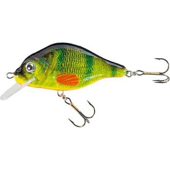 JAXON WOBLER HS CARPAN 7CM...