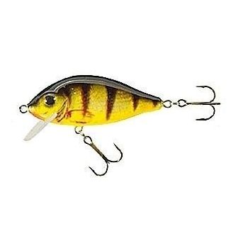 JAXON WOBLER HS KARAŚ 8 F...