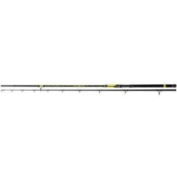 BLACK CAT PERFECT PASSION...