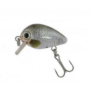 JAXON WOBLER ATRACT PIXEL...