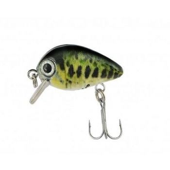 JAXON WOBLER ATRACT PIXEL...
