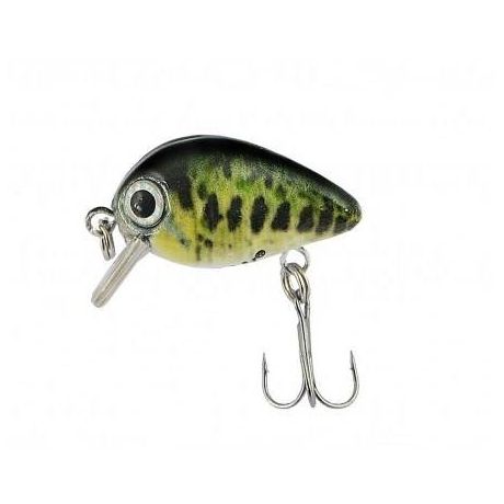 JAXON WOBLER ATRACT PIXEL 2,5CM B