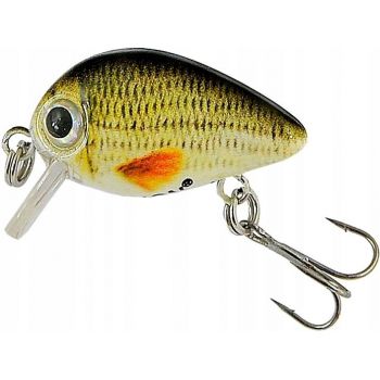 JAXON WOBLER ATRACT PIXEL...