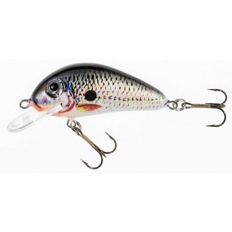 JAXON WOBLER HS GOLBAT 35 F DA