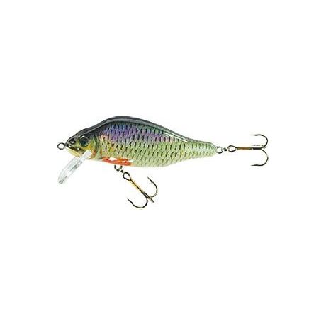 JAXON WOBLER HS VALADER 7 F ON