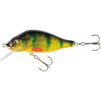 JAXON WOBLER HS VALADER 7 F OM