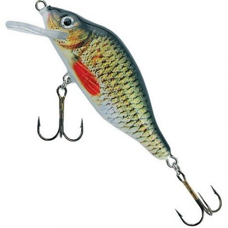 JAXON WOBLER HS VALADER 7 F KZ