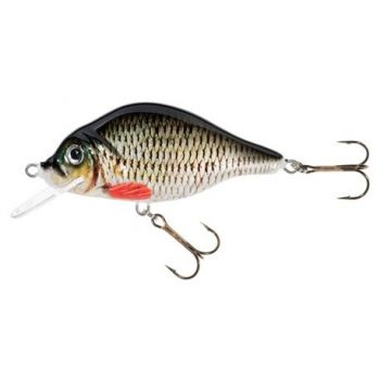 JAXON WOBLER HS CARPAN 7CM...