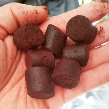 GENESIS CARP Pellet Blood...