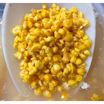 GENESIS CARP KUKURYDZA...