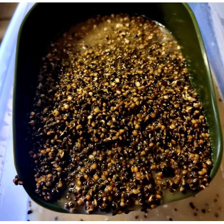 GENESIS CARP KONOPIE FERMENTOWANE 2,5KG