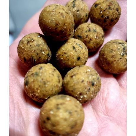 GENESIS CARP CHAMPION LINE THE NUTZ 16MM 1KG