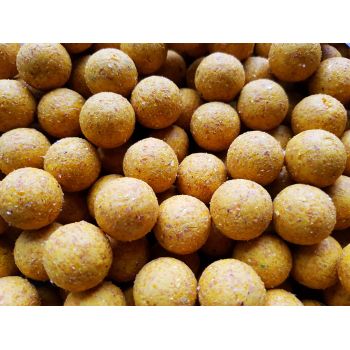 Genesis Carp Scopex 20mm 1kg