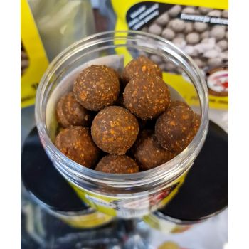 GENESIS CARP Hookboilies...