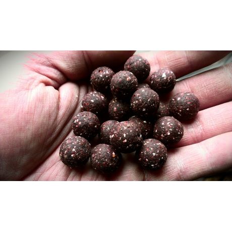 GENESIS CARP Garlic Squid Spice 15mm 1kg