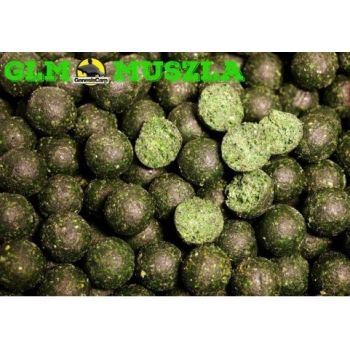 Genesis Carp GLM Muszla...