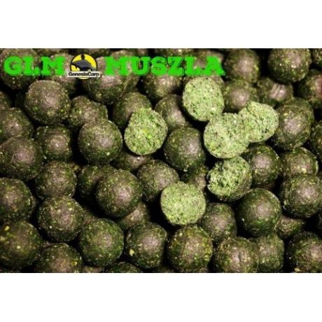 Genesis Carp GLM Muszla 20mm 1kg