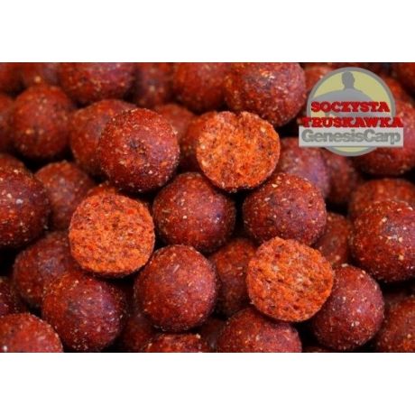 Genesis Carp Truskawka 16mm 1kg