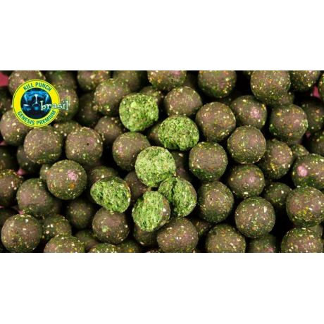 GENESIS CARP Kill Punch Brasil 15mm 1kg