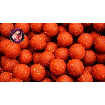 GENESIS CARP Strawberry...