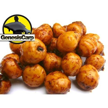 GENESIS CARP Orzech Tygrysi Tiger Nuts Kill Punch Brasil 1kg