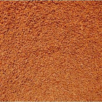 GENESIS CARP Pellet...