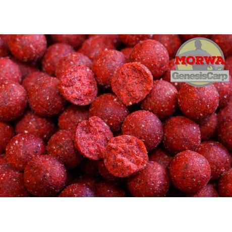 GENESIS CARP Słodka Morwa 20mm 10kg