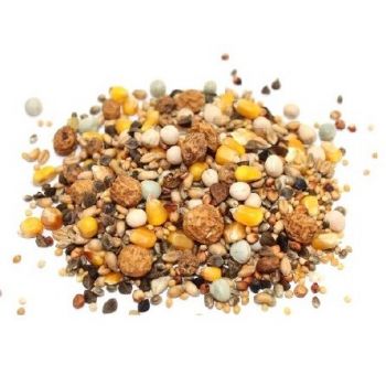 Genesis Carp Partickle Mix 5kg