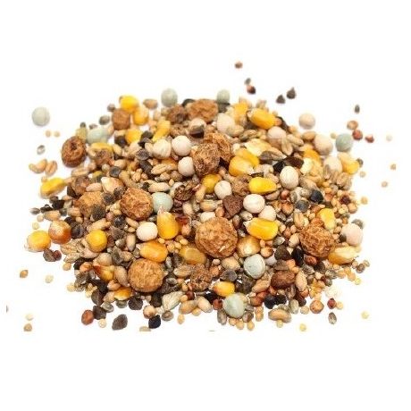 Genesis Carp Partickle Mix 5kg