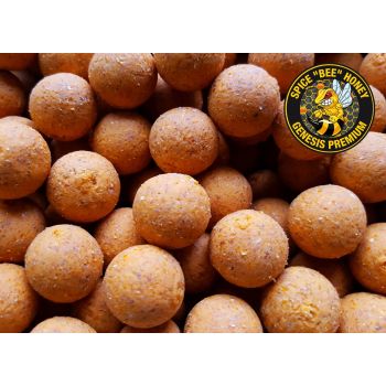 GENESIS CARP Spice BEE...