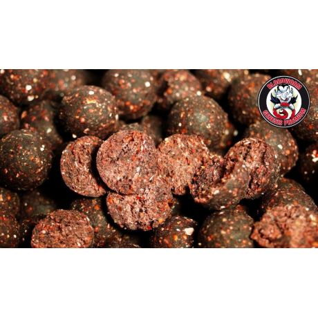 GENESIS CARP Bloodworm 1kg 24mm