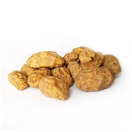 GENESIS CARP Orzechy tygrysie surowe 25kg XUFEX