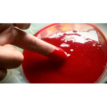 GENESIS CARP Liquid ROBIN...