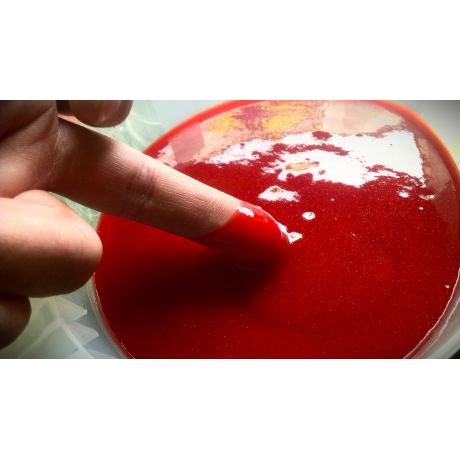 GENESIS CARP Liquid ROBIN RED (Haiths) 400ml