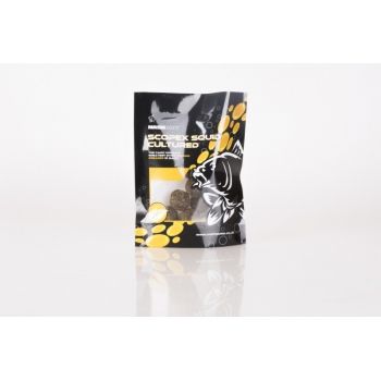 NASH SCOPEX SQUID CULTURED...